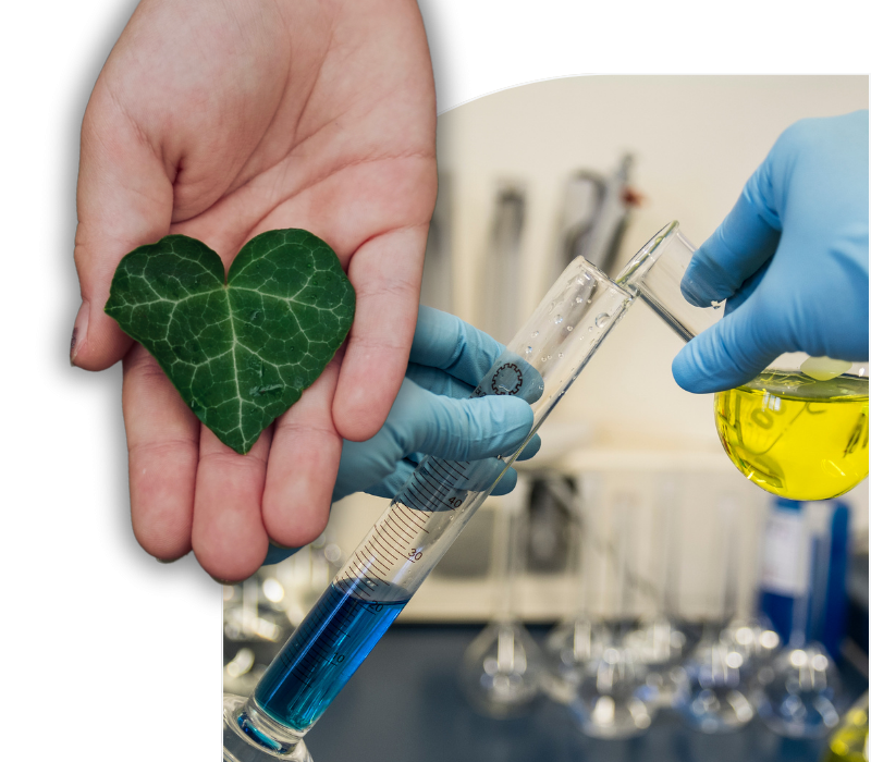 oakem lab (6)